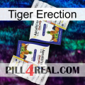 Tiger Erection 12